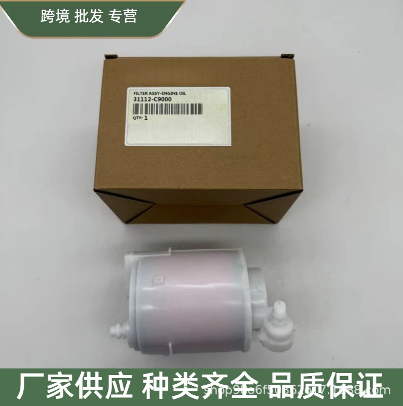 31112-C9000 31112C9000 Gasoline Filter Suitable for Hyundai Kia