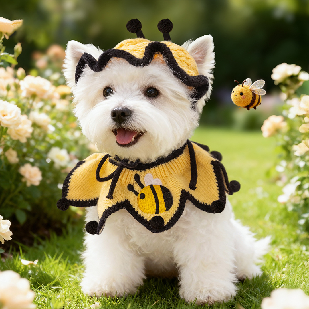 Sombrero de punto conjunto de collar para perros y gatos collar accesorios toallas de saliva que bufandas de oso ropa de mascotas