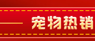 镂空猫咪开结梳狗狗美容宠物脱毛梳 一键去浮毛按摩刷子撸猫用品详情15