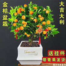 �ͺ��ļ��۽�ۘ�󼪴������������̨�����ļ��_���Y��ֲ��Gֲ