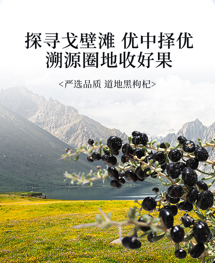 黑枸杞-组合_02