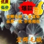 超柔量大面料短绒短毛绒