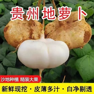 �F�����r���}�������عϬF�ڬF�l�r���ԷN�����֭���|��ā��ζ