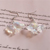 Sophisticated three dimensional acrylic cute earrings, European style