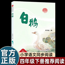 四年级下册课外书必读老师推荐作家作品系列 白鹅丰子恺散文集