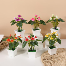 �t���R��t���������Կ͏d�bGɫֲ��[������ֲ���辰�߷���