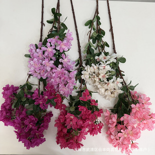 ������ޱ���Ƶ��c�b����҃��b��÷��潁���bS�����l