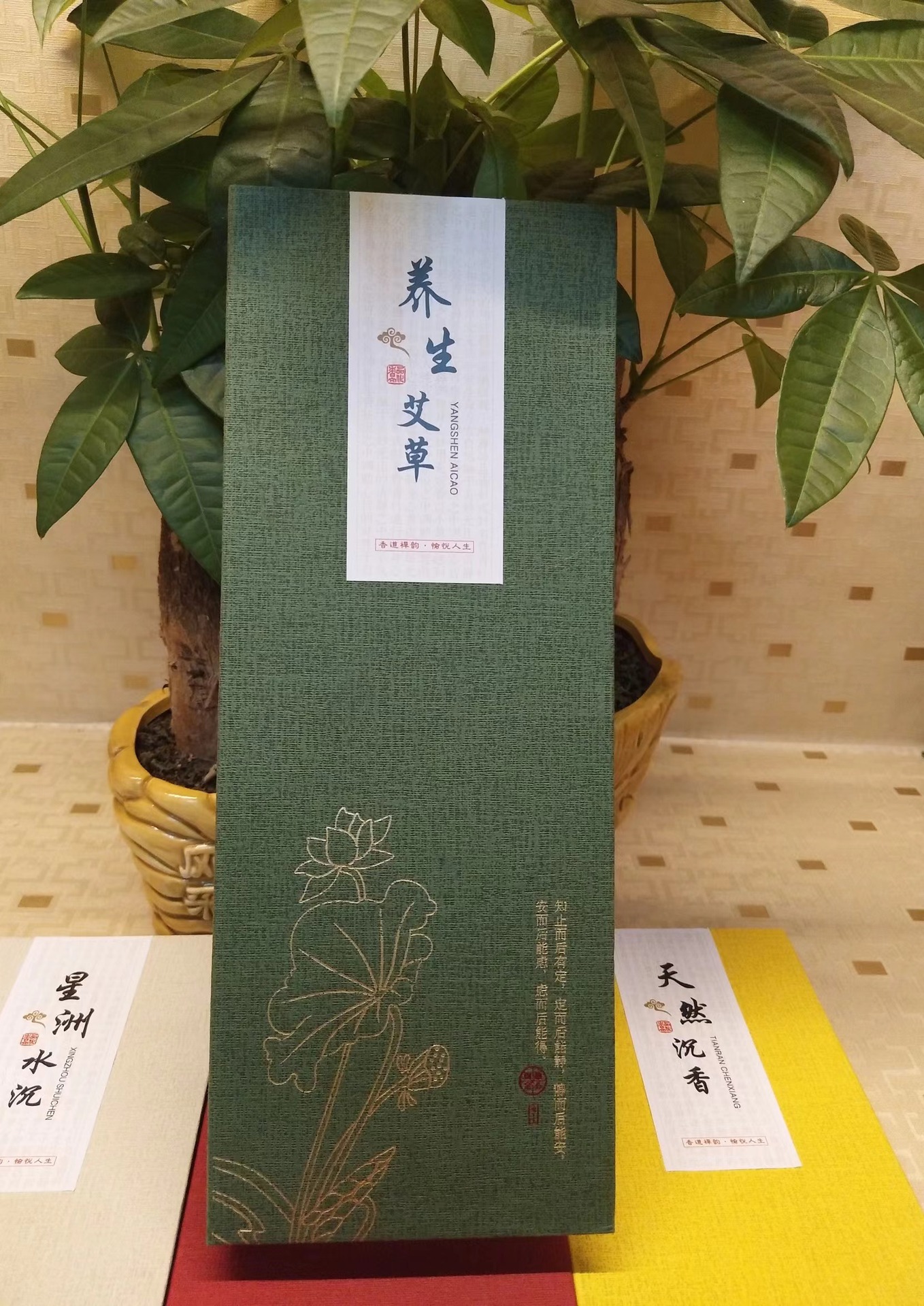 3d1408bd543a840cde0236d3a477ab