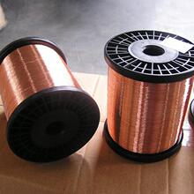 进口C5111磷铜棒 屏蔽罩磷铜线无磁耐高温 深圳C5111磷铜线 厂家