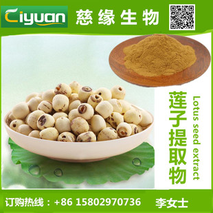 ɏ����ȡ�� Lotus seed extract ˮ��ɏ�ӷ� ɏ�Ӷ��� ɏ�����|
