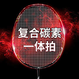 羽毛球拍正品3U4U5U单拍全碳素超轻专业双拍套装成人羽毛球拍批发