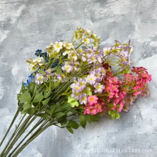 �������������ͩ��cС�黨��Y�ò����廨�ҾӾƵ�ٻ���������