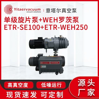 厂家定制单级旋片泵+WEH罗茨泵工业抽真空大吸力真空泵真空系统