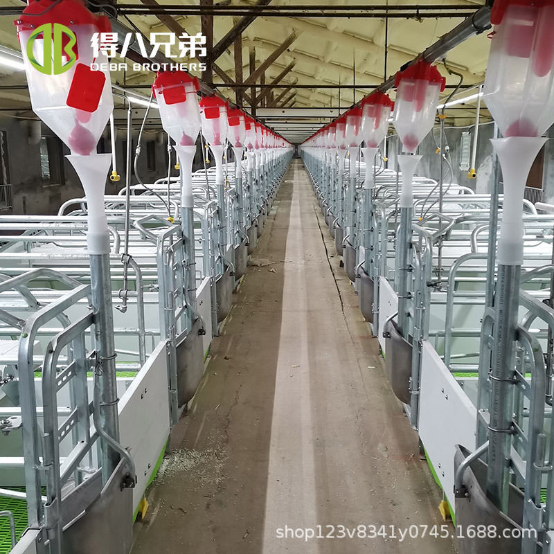 Camas de parto europeas para la conservación de cerdas, camas de parto para cerdos, equipos de cría de cerdos, fabricantes de fuentes de camas de parto europeas