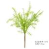 Jinyucao, зелёный (малый)