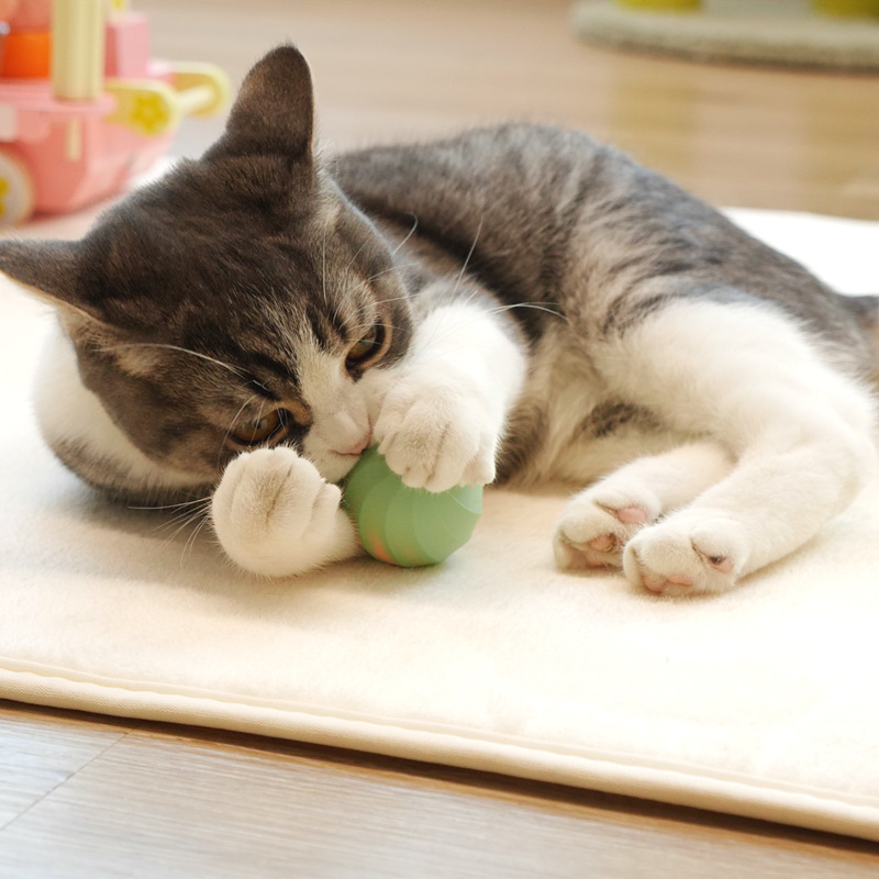 微信图片_20210702160810