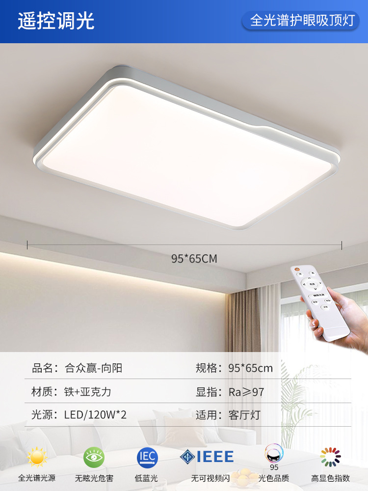 Xiangyang-white 95*65cm stepless 120 watts