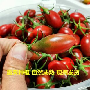 �Ϗ��^�Բ�С�������r�}Ů�������ѷ��Ѯ���ˮ����Ȼ��Fժɳ���S