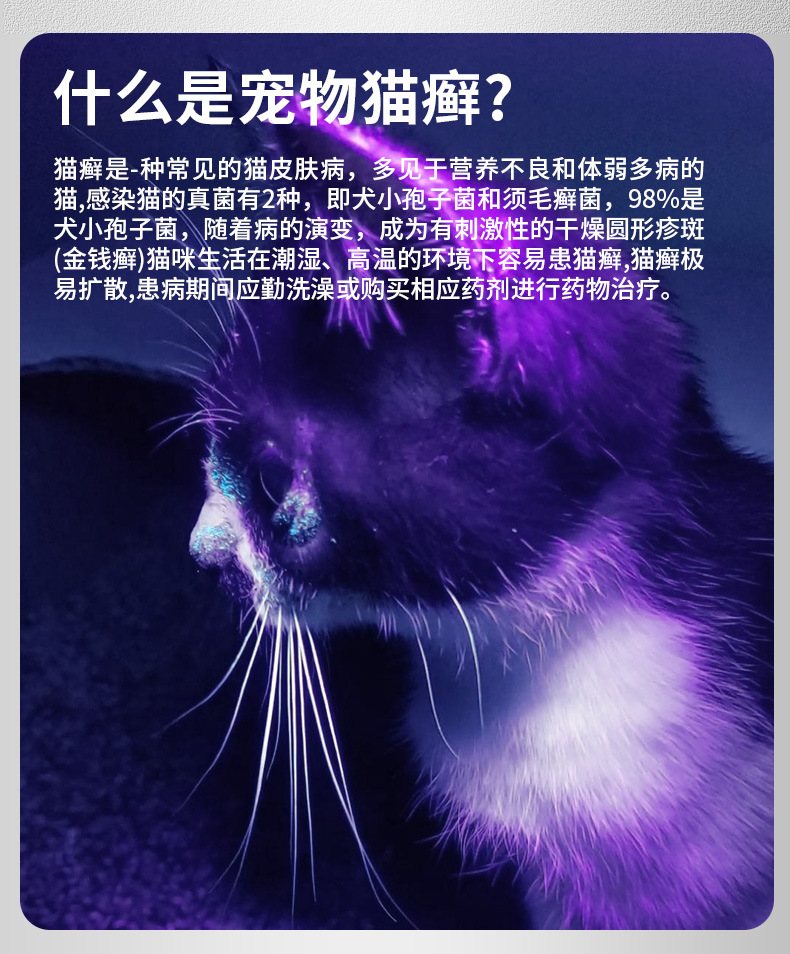 Hunter 51Led Purple Light Flashlight 395Uv Ultraviolet Money Detector Lamp Scorpion Lamp Pet Urine Household Flashlight