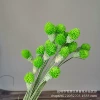 Green 18 sticks