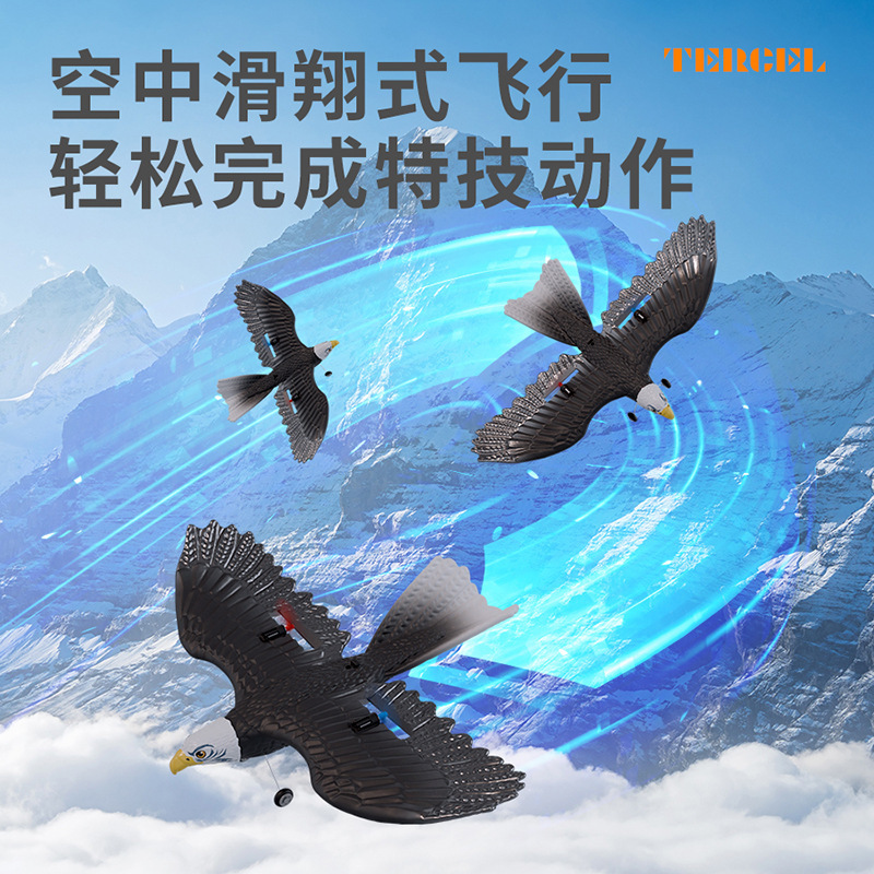 Nuevos productos transfronterizos HW40 agua y tierra en blanco cabeza águila EPP espuma juguete avión de ala fija modelo de planador de control remoto image 3