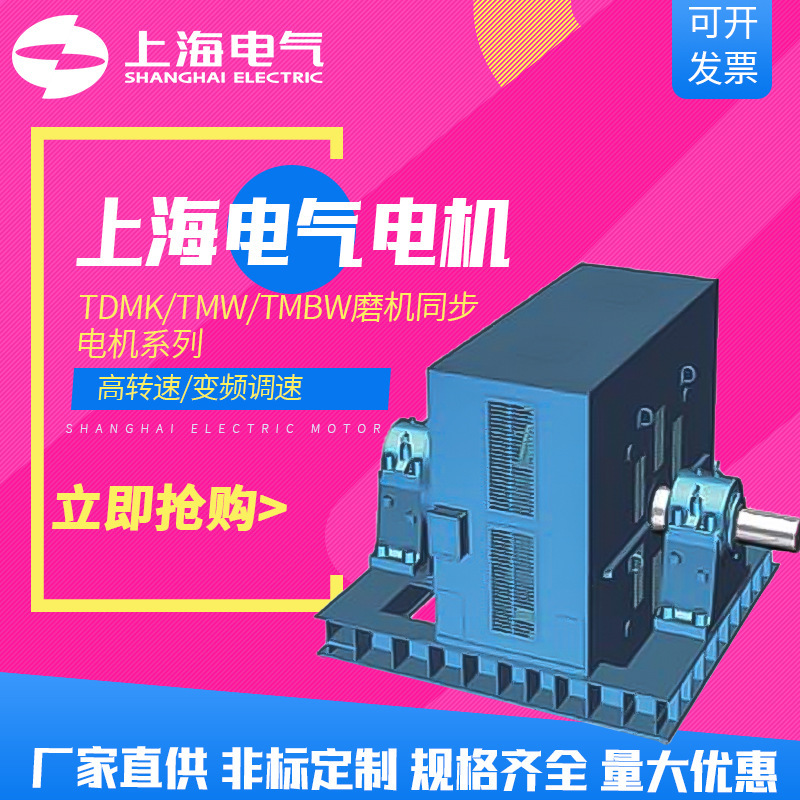 Shanghai Electric Group Shanghai Electric Machinery Factory Motor Tdmk/Tmw/Tmbw Mill Synchronous Motor 400Kw Manufacturer