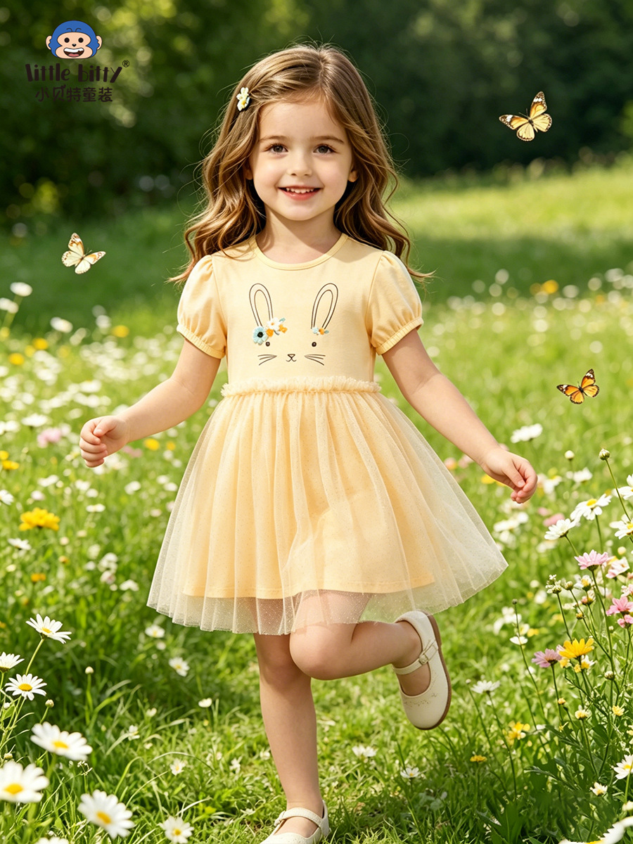 Cross-Border Supply 26 Years of Experience in Spring and Summer Girls' Short-Sleeved Mesh Dresses, Sweet and Cute Cartoon Floral Children's Dresses in Stock