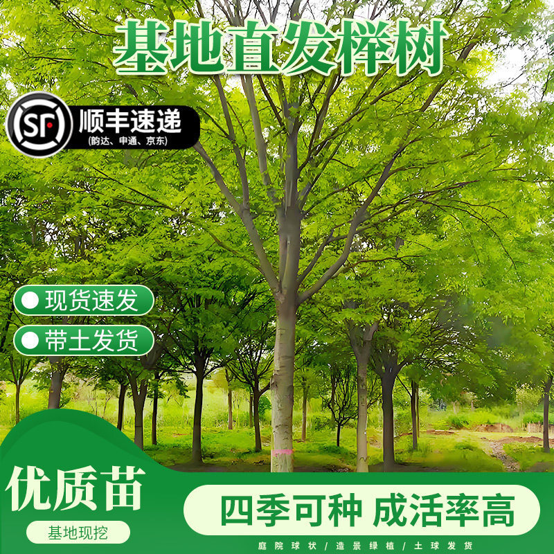 С�~�t�Θ���e��·߅ͥԺ�����ͺ������L���䅲���G���е�����