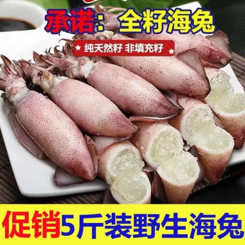 Sea hare Size Cuttlefish Seafood Aquatic products Fresh Freezing Barrel Fish seed Squid octopus Office
