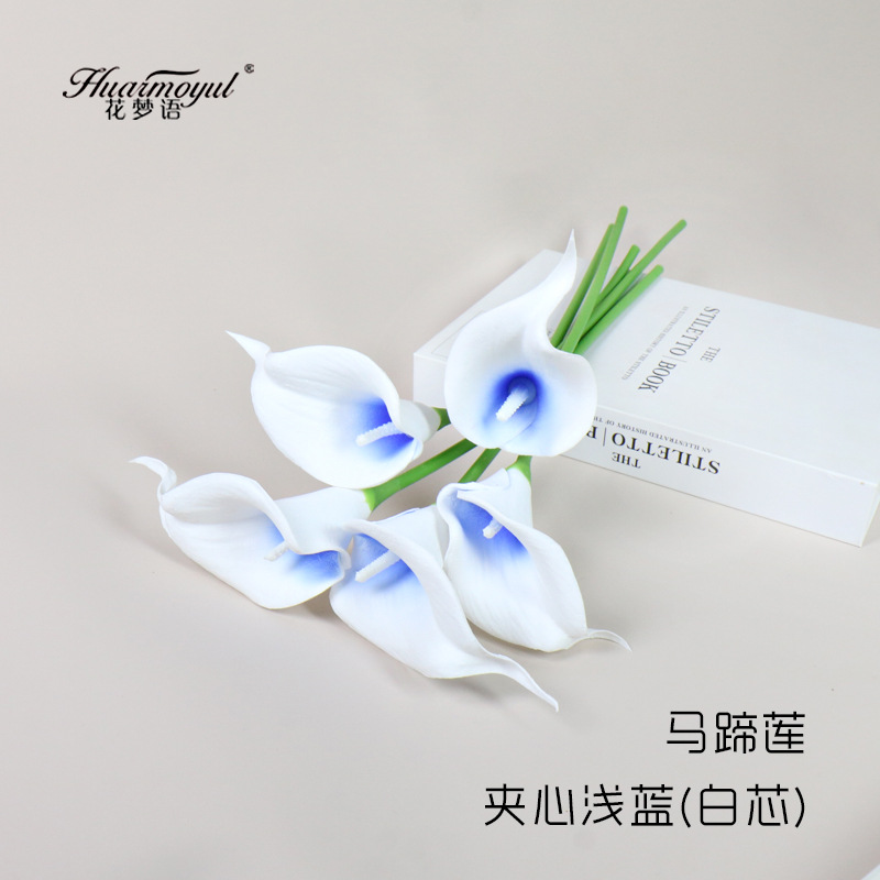 칼라 릴리 샌드위치 라이트 블루(화이트 코어)