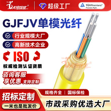 �ӹ�����GJFJV4-6B1��ģ���w4 6 8 12 24о����ܛͨӍ���|��
