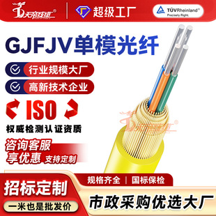 �ӹ�����GJFJV4-6B1��ģ���w4 6 8 12 24о����ܛͨӍ���|��
