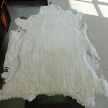 SֱNëëƤqЬƤëһwƤσđڱƤ\