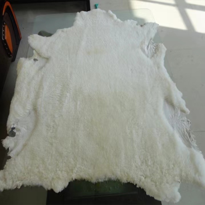 15dd9b865a7fd598961c0c7d73584e