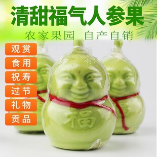 �˅����������rˮ�����ι��������L�۹�ؕ����Ϲ��նYƷ��Ҋˮ��