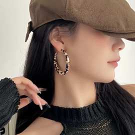 欧美夸张缠绕豹纹大圈圈耳环2025年新款个性高级感耳圈轻奢耳饰潮