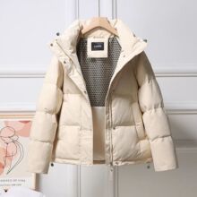 2025�����¿��Z�q��q��Ů��Óжñ�����e��ů�߶�������Ӻ�����