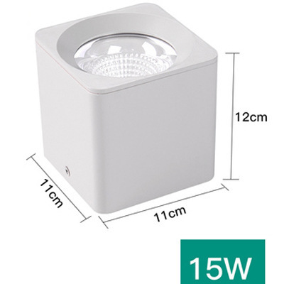15w white light [6000k] white shell