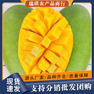 ����Խ�ϴ���â���rˮ��10���ش�â��������]�����ЋD��ʳ��â��