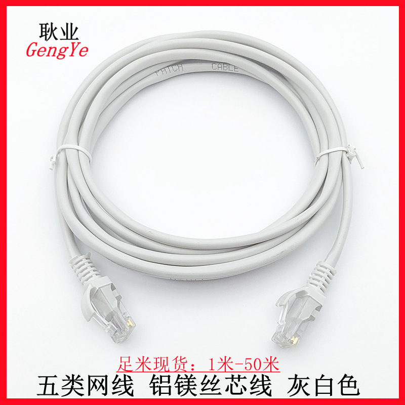 Five-class finished Network Cable full meter 8-core double twisted unshielded network jumper UTP CAT5 broadband router wiring