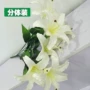 仿真头大盆栽婚庆仿真花