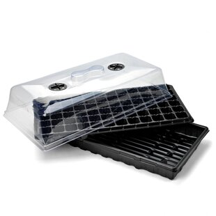 ��Ʒ�|ȫ���ϼӺ��ͥ�̨�����߲����籣���B�� ����� �Nֲ��