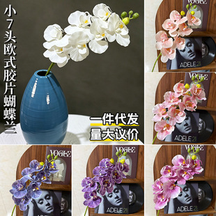 �羳С7�^�Wʽ�����m���滨�ٻ��Ҿ�ܛ�b��c�廨���b������l