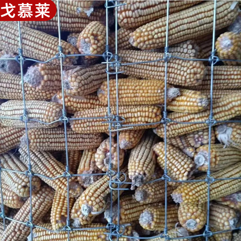 Red de protección de huerto de Guanshan ganado ganado oveja y caballo red de alambre de púas red de pastizales fabricantes