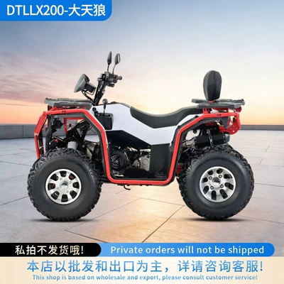 Cross-Border Big Wolf Motorcycle 200 Engine Four-Wheel Drive Automatic Transmission Fuel-Powered Scooter Off-Road (Kross motosiklet mühərrikləri)