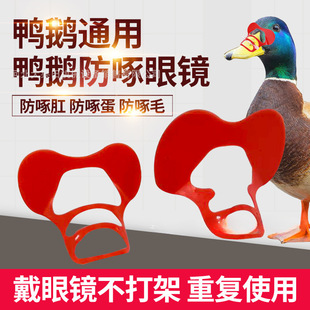 ���Z���R �����u������ �������R �Ӻ����Z���R���ķ����