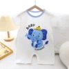Short -climbing white elephant