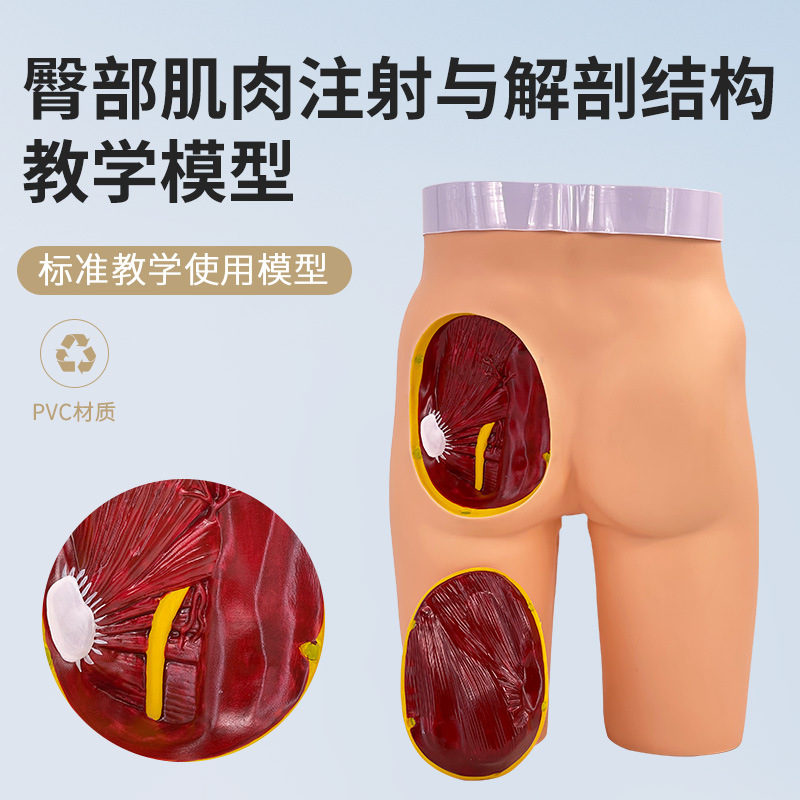 �߼��β�����ע��ģ������ʽṹģ�� �β�ע����ϰģ�� ҽѧѵ��