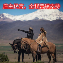 �¿������M�ڼt���~�¹����x��ľͰ�ɼt���Ѿ��ͶY�������l���l