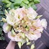 Mixed -color heavy -petal oranges seeds, four seasons mixed color perennial balcony courtyard potted outdoor flower plant seeds